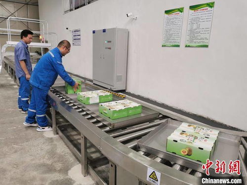 科技赋能农业，鲜味锁定源头——中国首个农产品原产地电子束辐照保鲜示范中心正式启动，开启元器件级精准保鲜新时代